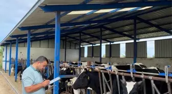 Beyşehir'de Hastalıktan Ari Hayvancılık İşletmeleri Denetlendi