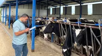 Beyşehir ilçesinde hastalıktan ari hayvancılık yapılan işletmeler denetlendi