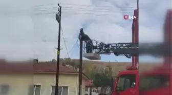 İtfaiye ekipleri yaramaz kedi için seferber oldu