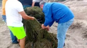Mudanya'da Yasak Alanda Kum Şırlanı Avcıları Yakalandı
