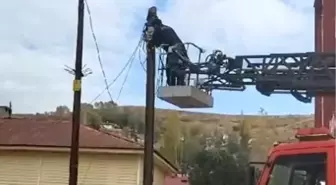 Sivas'ta Mahsur Kalan Yavru Kedi İtfaiye Tarafından Kurtarıldı