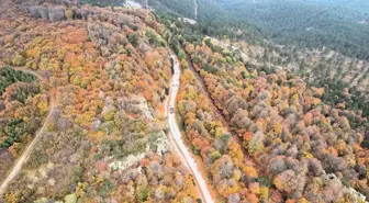 Balıkesir'deki Ulus Dağı'nda Sonbahar Renkleri