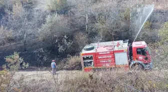 Çorum'un Oğuzlar ilçesinde çıkan yangında 10 dekar ceviz bahçesinde zarar oluştu