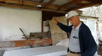 Tavşanlı'da Güvenlik Kamerasına Zarar Veren Ayı Görüntülendi