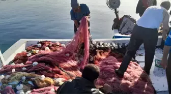 Çanakkale'de Balıkçılar Bol Miktarda Lüfer Yakaladı