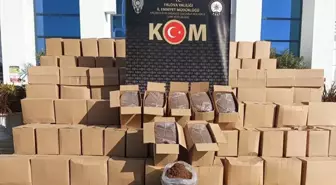 Yalova'da Kaçak Tütün Operasyonu: 3 Ton 600 Kilogram Ele Geçirildi