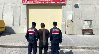 Edremit'te Zeytin Hırsızı Tutuklandı