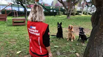 Kadıköy Belediyesi'nin yeni arama kurtarma köpeği Coco sertifikasını aldı