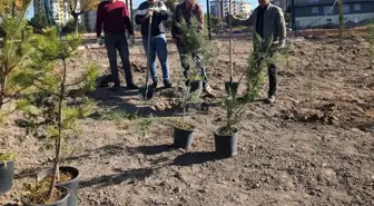 Erkilet Mehmet Karabacak Stadı'nda Gençlik ve Spor İl Müdürlüğü çalışanlarından övgü dolu çalışmalar