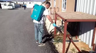 Adıyaman'da Haşerelere Karşı İlaçlama Çalışmaları