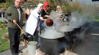 Düzce Şeker Kamışı Pekmezi Üretimi Coğrafi İşaret Denetimine Tabi Tutuldu