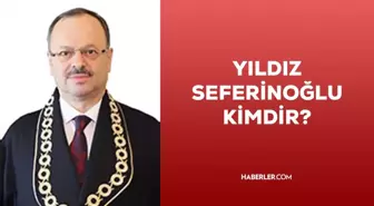 Yıldız Seferinoğlu kimdir? AYM üyesi Yıldız Seferinoğlu kim, kaç yaşında, nereli? Hayatı ve biyografisi!