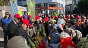 Bafra'da Milli Ağaçlandırma Günü'nde 40 bin 228 fidan dağıtıldı