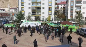 Sivas Zara'da Vatandaşlara Ücretsiz Fidan Dağıtıldı