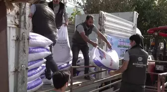 Aydın Büyükşehir Belediyesi, Söke'deki sel felaketinden etkilenenlere yem desteği sağlıyor
