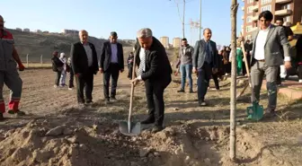 Başkan Palancıoğlu: 'Fidan değil ağaç dikiyoruz'