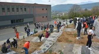 Bolu'da yangın sonrası 5 bin fidan dikildi