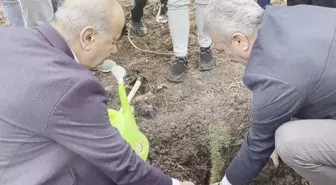 CHP Bursa İl Başkanlığı Göynüklü'de fidan dikti