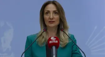 CHP Kadın Politikalarından Sorumlu Genel Başkan Yardımcısı Aylin Nazlıaka Kimdir, kaç yaşında, nereli, nerenin milletvekili?