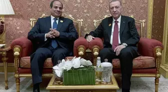 Cumhurbaşkanı Erdoğan, Endonezya Cumhurbaşkanı Widodo ile görüştü