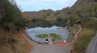 Ordu'nun Gölköy ilçesindeki Ulugöl Tabiat Parkı 300 bin ziyaretçi ağırladı