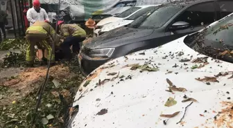 İstanbul'da Sağanak ve Fırtına Trafik Yoğunluğunu Artırdı