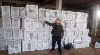 Tarım Kredi Kooperatifi Zeytin Üreticilerini Mağdur Etti