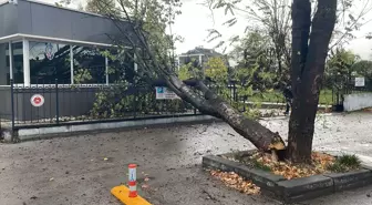 Bolu'da Sağanak ve Kuvvetli Rüzgar Hayatı Olumsuz Etkiledi