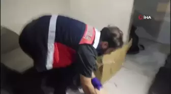 İstanbul'da büyük uyuşturucu operasyonu: 18 kilogram skunk ele geçirildi