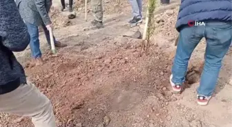 Siirt'te binlerce fidan toprakla buluşturuldu