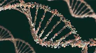 Bilim İnsanları Yapay DNA Modeli Oluşturdu