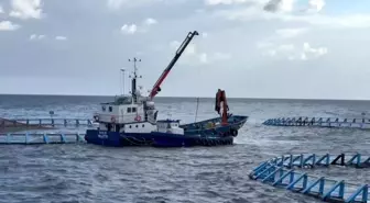 Malta'nın mavi yüzgeçli orkinosları Çin pazarında büyük ilgi görüyor