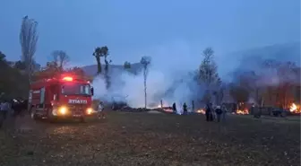 Tokat'ta Ahır Yangınında 50 Koyun Öldü