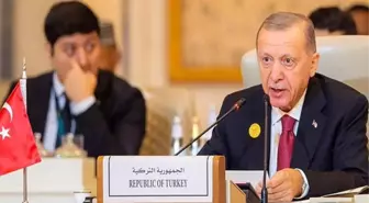 Almanya, Cumhurbaşkanı Erdoğan'ın ziyaretini tartışıyor: Türkiye zor ama vazgeçilmez ortak