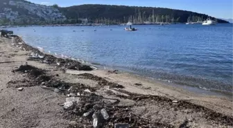 Bodrum'da Sağanak Sonrası Derelerden Denize Gelen Çöpler Sahilleri Kirletti
