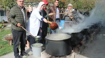 Düzce Şeker Kamışı Pekmezi Üretimine Başlandı