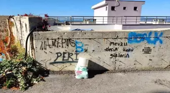 Aydın'da Şizofreni Hastası Kadın İntihar Etti