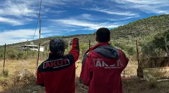 Muğla'da Alzheimer Hastası Kadının Kaybolması
