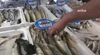 Aksaray'da Balık Hali İstemi