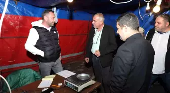 Gemlik Zeytininde Hasat Dönemi Başladı