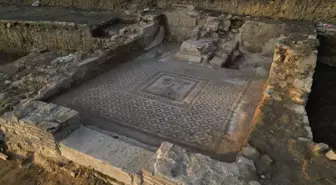 Düzce'de Prusias ad Hypium Antik Kenti'nde Aslanlı Mozaik Bulundu