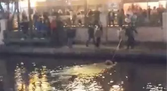 Porsuk Çayı'nda Denge Kaybeden Kadın Can Simidiyle Kurtarıldı