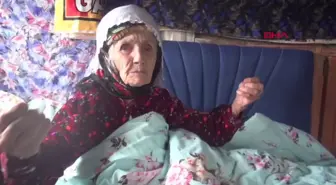 103 Yaşında Koronavirüsü Yenen Emine Aksoy Hayatını Kaybetti