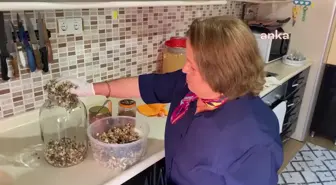 Ev Hanımı Yabani Meyveleri Sirkeye Dönüştürüyor