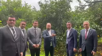 CHP Genel Başkan Yardımcıları Hatay'da Narenciye Üreticileriyle Buluştu