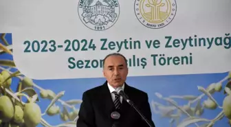 Bergama'da Zeytin ve Zeytinyağı Sezonu Açıldı