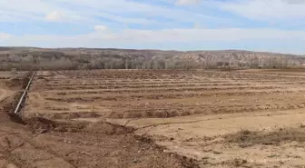 Sivas'ta Yeni Jeotermal Sera Kurulumu İçin Çalışmalar Başladı