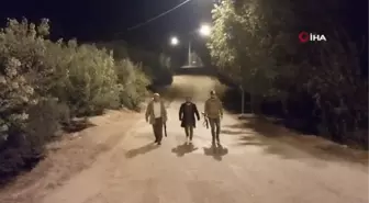 Mersin'de Zeytin Hırsızlığı Arttı, Üreticiler Nöbet Tutuyor