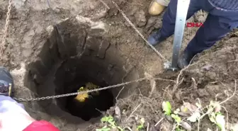 İnegöl'de mahsur kalan koyun itfaiye ekipleri tarafından kurtarıldı