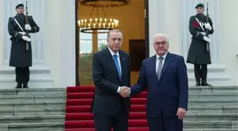 Cumhurbaşkanı Erdoğan, Almanya Cumhurbaşkanı Steinmeier'le görüştü